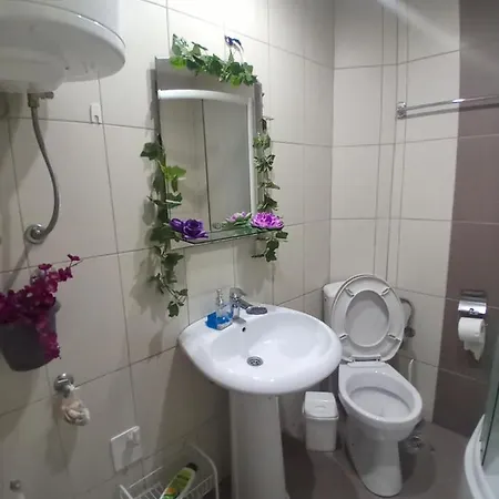 Aries * Врнячка-Баня