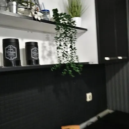 Apartment Aries