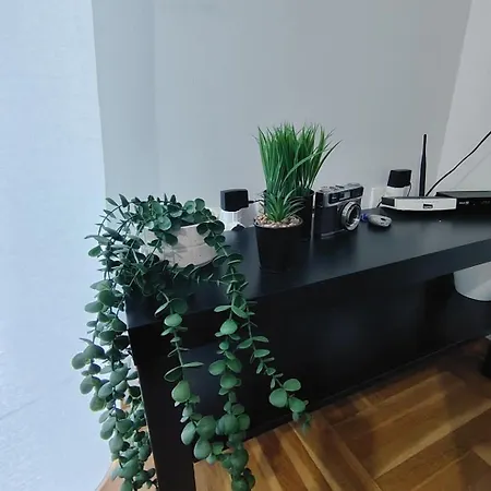 Apartment Aries