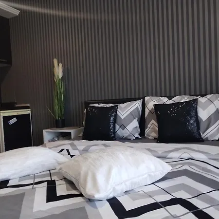 Aries * Vrnjačka Banja