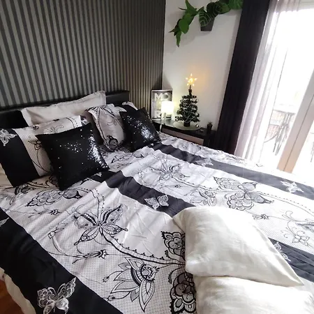 Aries Vrnjačka Banja