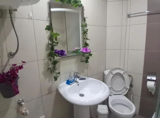 Aries * Vrnjačka Banja