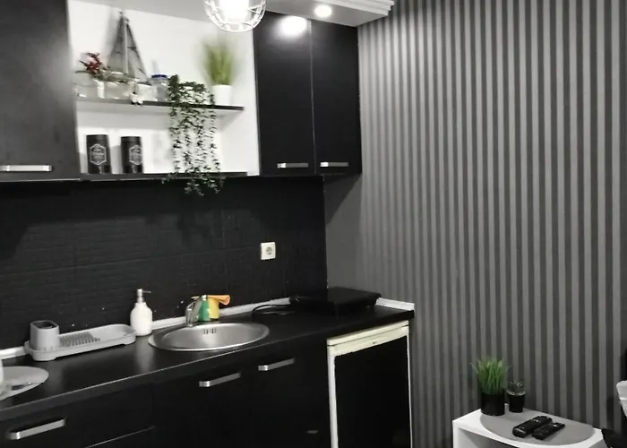 Apartament Aries Vrnjačka Banja