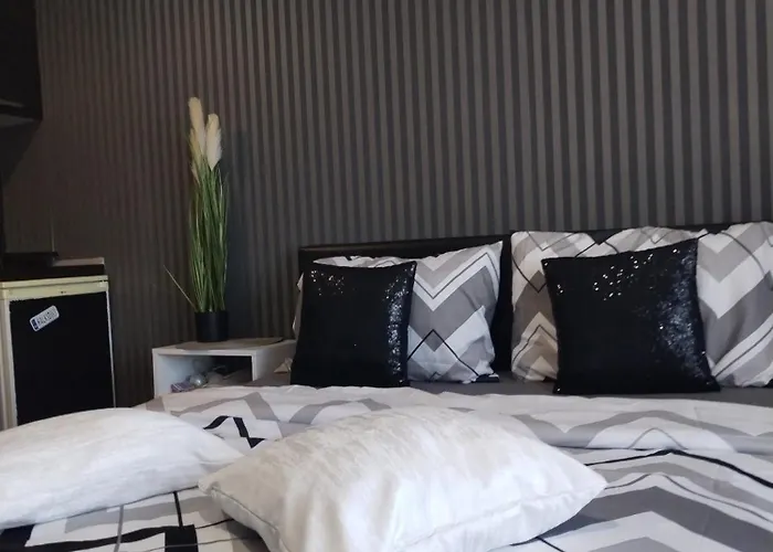 Aries * Vrnjačka Banja